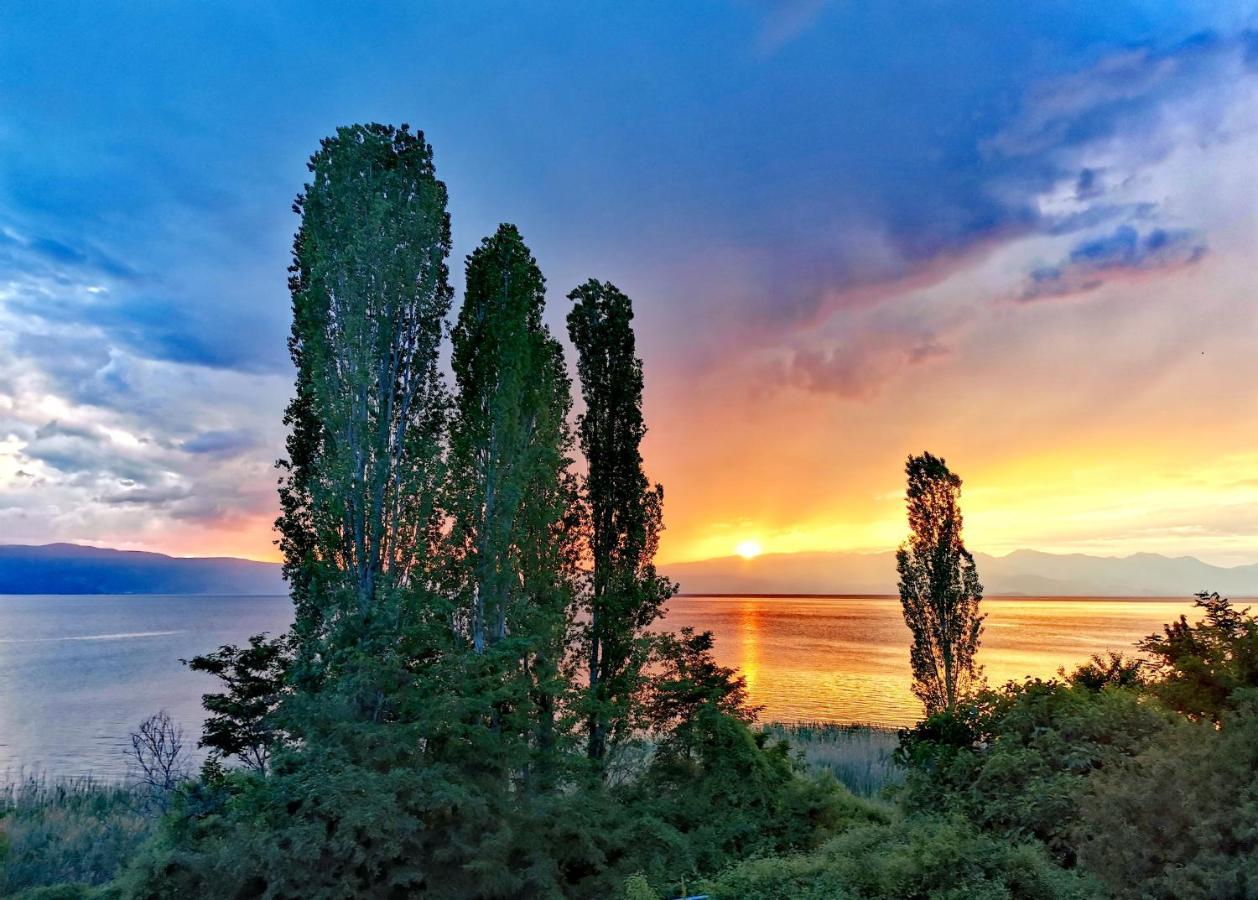 Villa Kalina Ohrid Exterior photo